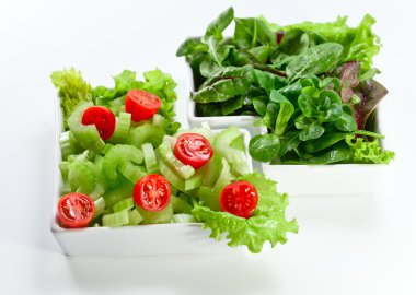 karışık salata kâsesi 