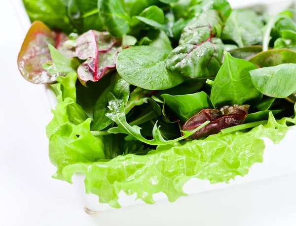 Schüssel mit gemischtem Salat — Stockfoto