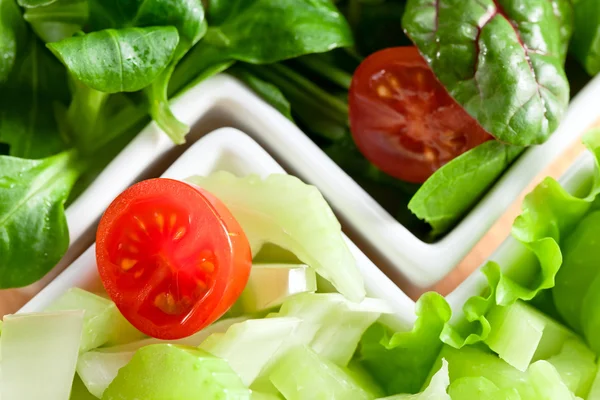 Blandad sallad — Stockfoto