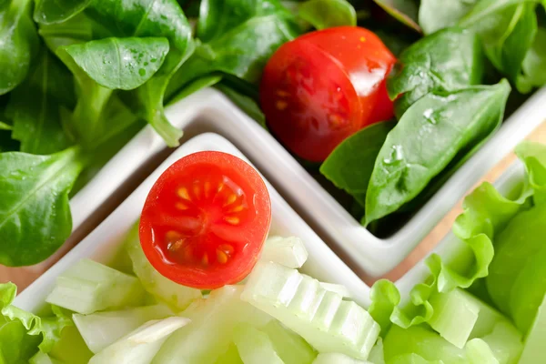 Blandad sallad — Stockfoto