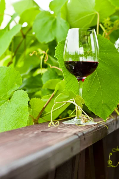 Rotwein — Stockfoto