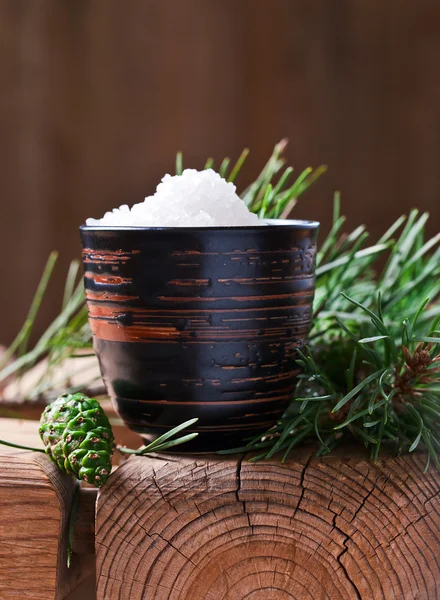 Iğne yapraklı aroması ile deniz tuzu — Stok fotoğraf