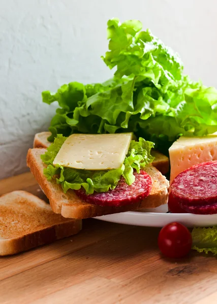 Sandwich with salami and cheese — Stock Photo, Image