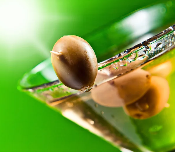 Martini mit grünen Oliven — Stockfoto