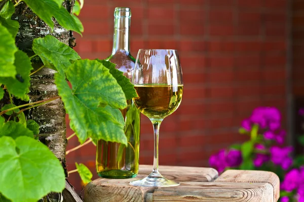 Beyaz şarap, üzüm bağı — Stok fotoğraf