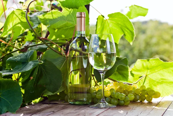 Grape and white wine in vineyard — Stock Photo, Image