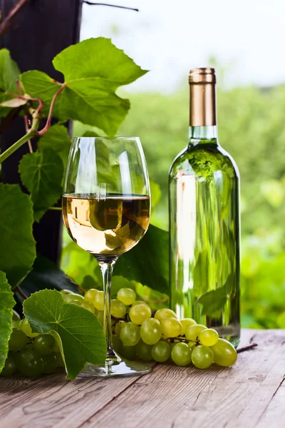 Grape and white wine in vineyard — Stock Photo, Image
