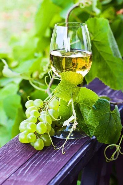 White wine in vineyard — Stock Photo, Image