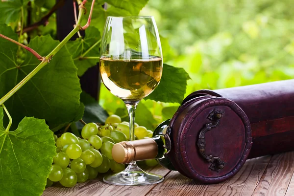 White wine in vineyard Royalty Free Stock Images