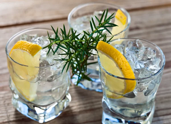 Gin med citron och is — Stockfoto