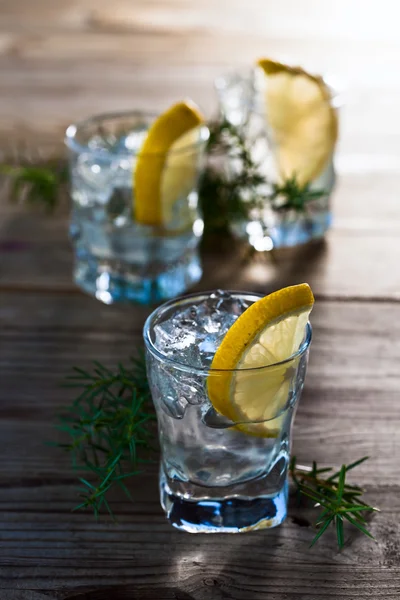 Gin med citron och is — Stockfoto