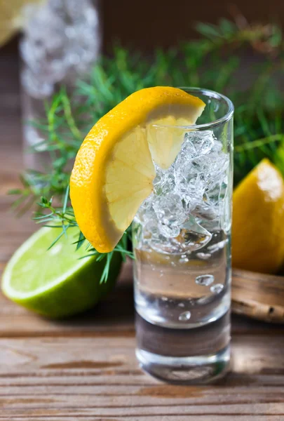 Gin mit Zitrone — Stockfoto