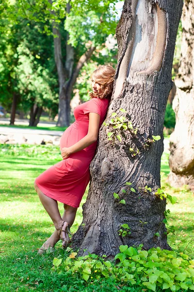 Młoda kobieta w ciąży w parku Obrazy Stockowe bez tantiem