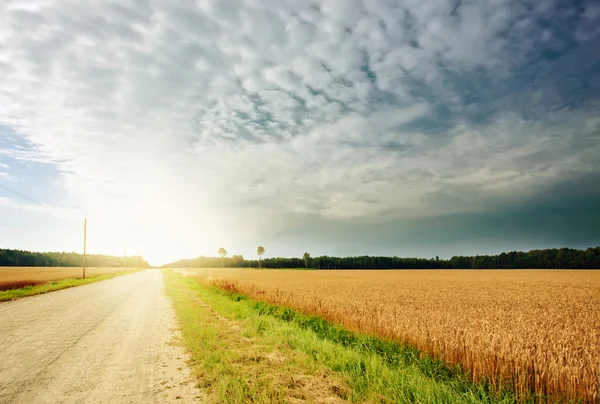 Country road — Stock Photo, Image