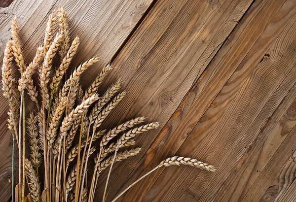 Harvest on old wooden table — Stock Photo, Image