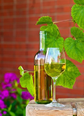  beyaz şarap, üzüm bağı