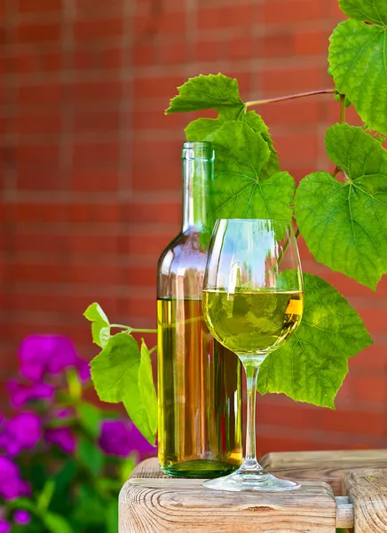Vinho branco na vinha — Fotografia de Stock