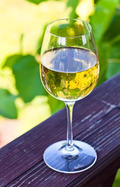 Weißwein im Weinberg — Stockfoto