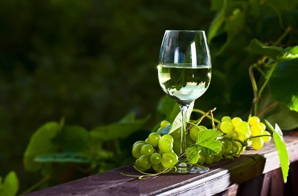 Uva verde e vinho branco na vinha — Fotografia de Stock