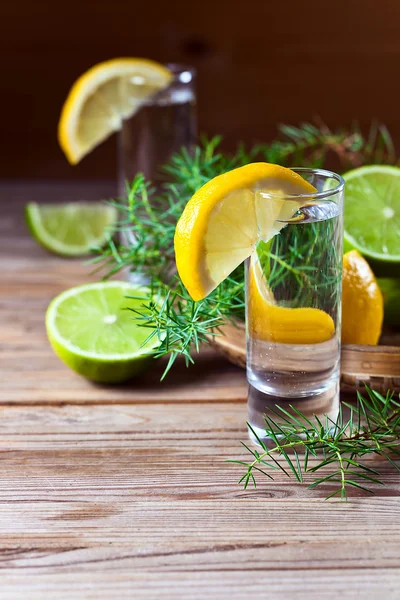 Gin med citron — Stockfoto