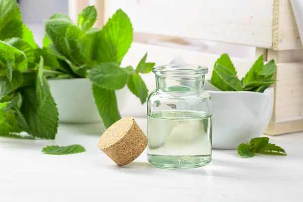 Färska Spearmintblad Och Liten Flaska Med Eterisk Myntolja Aromaterapi Spa — Stockfoto