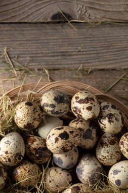 Eski ahşap bir arka planda samanlı bıldırcın yumurtası. Üst Manzara. Boşluğu kopyala.