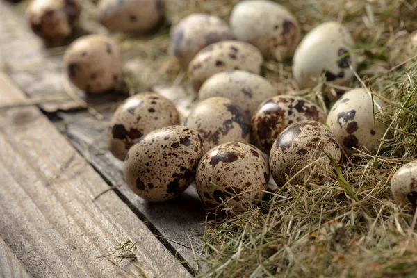 Quail Eggs Old Wooden Background Hay Healthy Organic Food — Stock Photo, Image