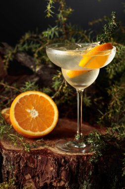 Portakallı ve kekikli cin ve tonik kokteyli. Donmuş bardakta soğuk, ferahlatıcı bir içecek..