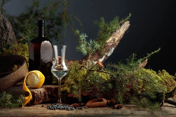 Gin Piccolo Bicchiere Antica Bottiglia Vetro Scuro Anice Coriandolo Bacche — Foto Stock