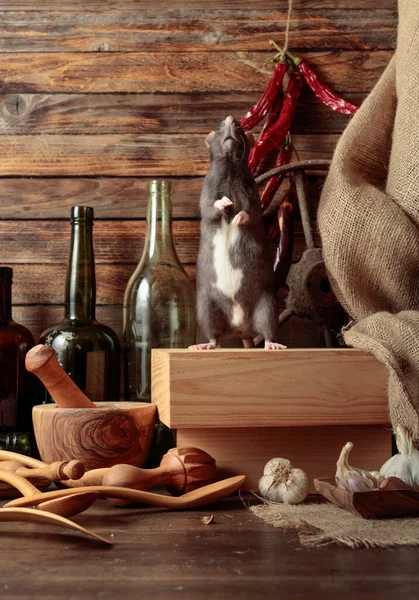 Krysa Stole Starými Kuchyňskými Potřebami Dřevěné Kůlně — Stock fotografie