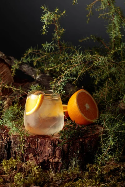 Gin Tonik Koktél Naranccsal Kakukkfűvel Egy Hideg Frissítő Ital Fagyasztott — Stock Fotó