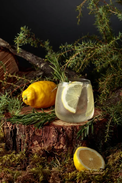 Gim Coquetel Tônico Com Limão Alecrim Uma Bebida Refrescante Gelada — Fotografia de Stock