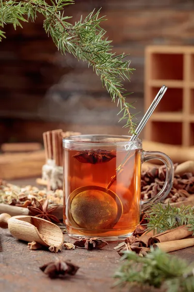 Gorąca Herbata Ziołowa Cynamonem Anyżem Suszonymi Ziołami Herbata Ziołowa Gałązką — Zdjęcie stockowe