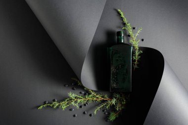 Antika şişe ve tohumlu ardıç dalı. Kopyalama alanı olan üst görünüm.