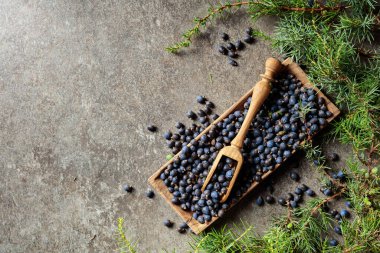 Ardıç tohumlu ahşap kase. Kopyalama alanı olan üst görünüm.