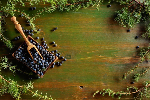 Jeneverbes Takken Zaden Een Oude Houten Achtergrond Bovenaanzicht Met Kopieerruimte — Stockfoto