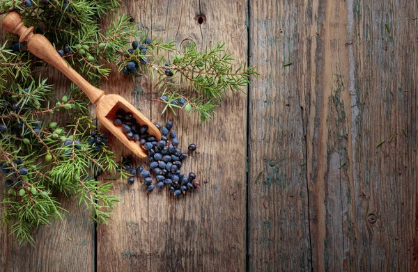 Juniper branch and wooden spoon with berries on a wooden background. Top view, copy space for your text.