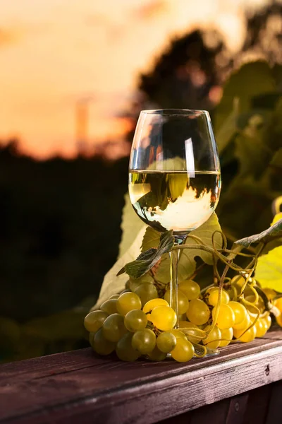Grapes Glass White Wine Vineyard Sunset — Stock Photo, Image