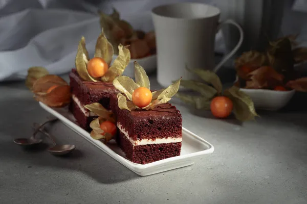 Schokoladenkuchen Mit Physalis Auf Einem Grauen Tisch — Stockfoto