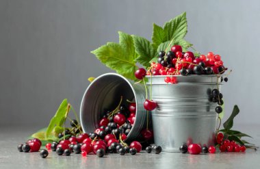 Kirazlar, gri arka planda kırmızı ve siyah üzümler. Küçük metal kovada taze meyveler. Boşluğu kopyala.
