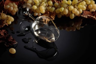 Üzümlü beyaz şarap ve kurumuş asma yaprakları. Kopyalama alanı olan siyah yansıtıcı arkaplan.