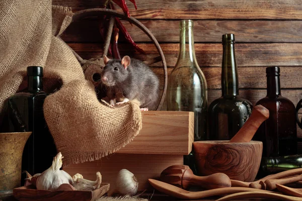 Ποντίκι Ένα Τραπέζι Παλιά Σκεύη Κουζίνας Ένα Ξύλινο Υπόστεγο — Φωτογραφία Αρχείου