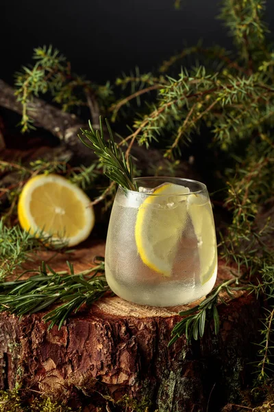 Gin Tonic Cocktail Mit Zitrone Und Rosmarin Ein Kaltes Erfrischungsgetränk — Stockfoto