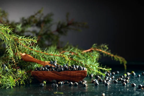 Piatto Legno Con Semi Ginepro Vecchio Tavolo Blu Scuro — Foto Stock