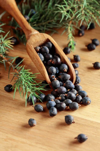 Wooden Spoon Seeds Juniper Old Wooden Table — Stock Photo, Image