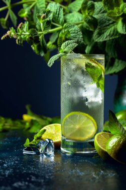 Limonlu, naneli ve buzlu yaz içeceği. Soğuk ve sağlıklı bir içecek ve bir demet taze nane.. 