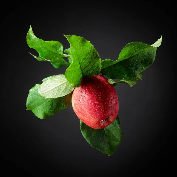 Soczyste Jabłko Liśćmi Świeże Jabłko Kroplami Wody Czarnym Tle — Zdjęcie stockowe