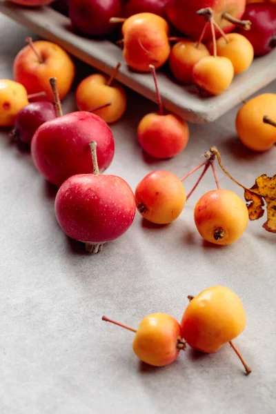 Röda Och Gula Mogna Vilda Äpplen Med Torkade Blad Kopiera — Stockfoto