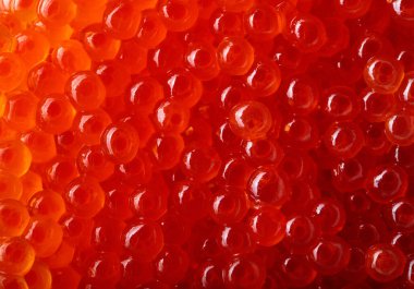 Ateş, kırmızı havyar mackro bir merkezi odak.