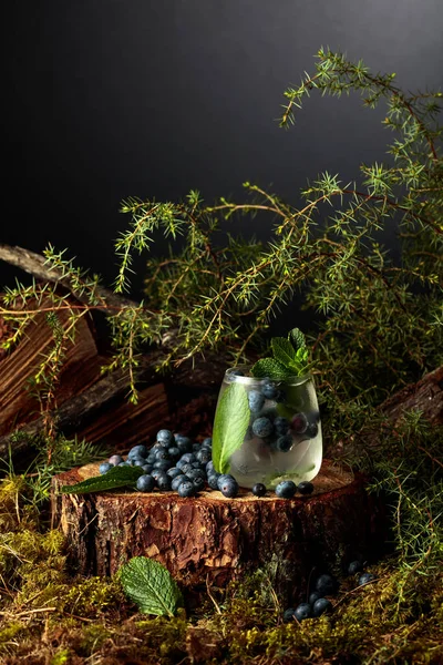 Джин Тоник Черникой Мятой Холодный Освежающий Напиток Замороженном Стакане — стоковое фото